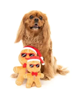 FuzzYard Peluche Navideño Mr Gingerbread Para Perros -Suministros De Mascotas Ventas 2024 p1dn2few 1024x1024 638dad238c47a g