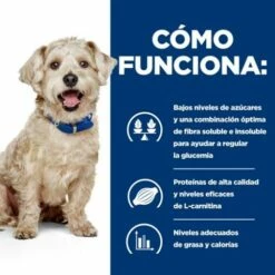 Hill's Pienso Prescription Diet W/d Digestion, Weight, Diabetes Management Para Perros -Suministros De Mascotas Ventas 2024 pd canine prescription diet wd chicken dry productSpotlight2 500 637c8b5490c7c g
