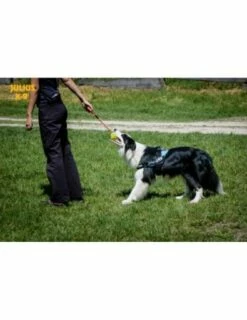 Julius K9 Pelota Idc Fluorescente Amarillo -Suministros De Mascotas Ventas 2024 pelota idc lumino asa cerrable 3 63a02a1b8bb2e g