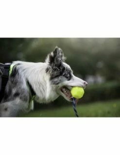 Julius K9 Pelota Idc Fluorescente Amarillo -Suministros De Mascotas Ventas 2024 pelota idc lumino asa cerrable 5 63a02a1dc2e62 g