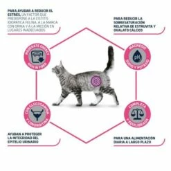 Advance Pienso Urinary Stress Para Gato 7 Advance Pienso Urinary Stress Para Gato -Suministros De Mascotas Ventas 2024 pienso gato urinary stress advance 6273c78ba6a5d g