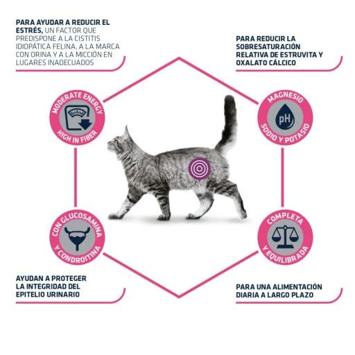 Advance Pienso Urinary Stress Para Gato 5 Advance Pienso Urinary Stress Para Gato - Imagen 3
