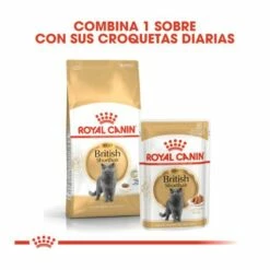 Royal Canin British Shorthair Pienso Para Gato Adulto De Raza 13 Royal Canin British Shorthair Pienso Para Gato Adulto De Raza -Suministros De Mascotas Ventas 2024 pienso para gatos british shorthair royal canin 62f508a78e799 g