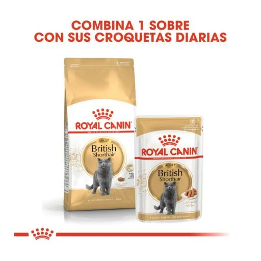 Royal Canin British Shorthair Pienso Para Gato Adulto De Raza 5 Royal Canin British Shorthair Pienso Para Gato Adulto De Raza - Imagen 3