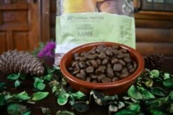 Traveness Pienso Natural Grain Free Receta Hipoalergénica De Cordero Para Perros -Suministros De Mascotas Ventas 2024 pienso para perro de cordero 635baf2acad37 g