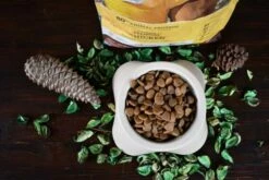 Traveness Pienso Natural Grain Free Receta De Pollo Para Perros -Suministros De Mascotas Ventas 2024 pienso para perro de pollo traveness 635baea96dccc g