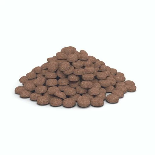 HPM Pienso Virbac Veterinary Baby Large & Medium Para Cachorros Medianos Y Grandes 4 HPM Pienso Virbac Veterinary Baby Large & Medium Para Cachorros Medianos Y Grandes - Imagen 2