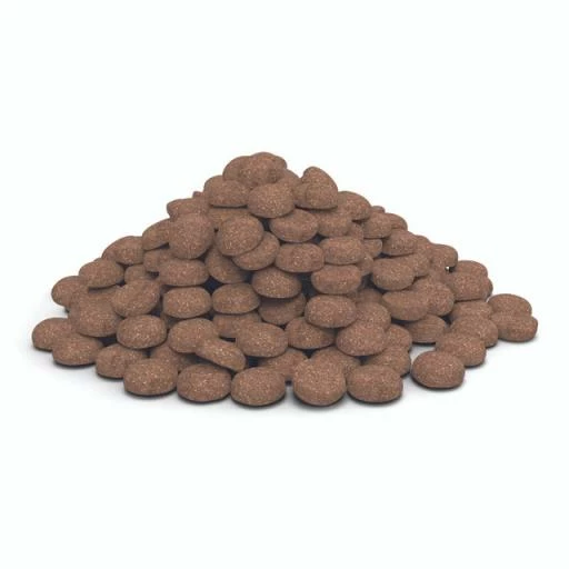 HPM Pienso Virbac Veterinary Senior Large & Medium Para Perros Mayores Medianos Y Grandes 4 HPM Pienso Virbac Veterinary Senior Large & Medium Para Perros Mayores Medianos Y Grandes - Imagen 2