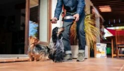 HPM Pienso Virbac Veterinary Adult Small & Toy Para Perros Pequeños 8 HPM Pienso Virbac Veterinary Adult Small & Toy Para Perros Pequeños -Suministros De Mascotas Ventas 2024 piensoAdultMini 6230597c53a57 g