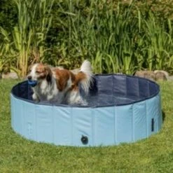Trixie Piscina Para Perros -Suministros De Mascotas Ventas 2024 piscine pour chien trixie 80 cm 62a751a63195f g