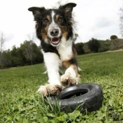 KONG Mordedor Rueda Extreme Tyres 7 KONG Mordedor Rueda Extreme Tyres -Suministros De Mascotas Ventas 2024 pneu 3 800x800 6255bd98e847d g