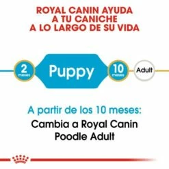 Royal Canin Poodle Puppy Pienso Para Cachorro Caniche -Suministros De Mascotas Ventas 2024 poodle puppy 4 g