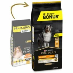 Pro Plan All Size Adult Light/Sterilised Optiweight Rico En Pollo -Suministros De Mascotas Ventas 2024 pro plan lightsterilised racao seca para cao adulto para controlo do peso frango 2 63f52c5ee472b g
