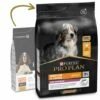 Pro Plan Optiage Adult 7+ De Pollo Medium/Large -Suministros De Mascotas Ventas 2024 pro plan optiage medium large 7 racao seca para cao medio e grande senior frango 63f6357c08dd7 g