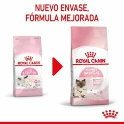 Royal Canin Pienso Mother And Babycat Para Gatitos Y Gatas Gestantes -Suministros De Mascotas Ventas 2024 rc spt dry babycat cv 1 es es 1 626664e678f43 g