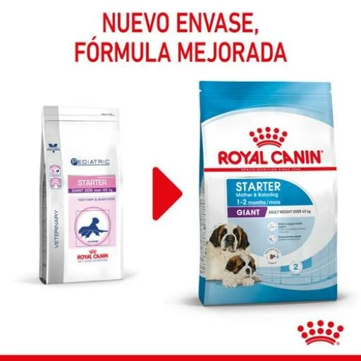 Royal Canin Giant Starter Pienso Para Cachorros Y Madres Lactantes Tamaño Gigante 7 Royal Canin Giant Starter Pienso Para Cachorros Y Madres Lactantes Tamaño Gigante - Imagen 5