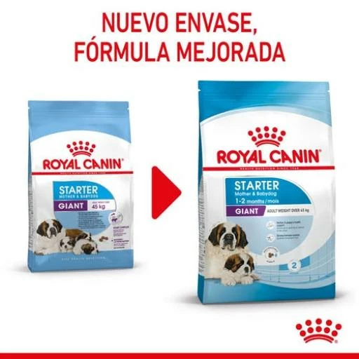 Royal Canin Giant Starter Pienso Para Cachorros Y Madres Lactantes Tamaño Gigante 8 Royal Canin Giant Starter Pienso Para Cachorros Y Madres Lactantes Tamaño Gigante - Imagen 6