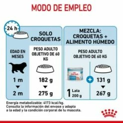 Royal Canin Giant Starter Pienso Para Cachorros Y Madres Lactantes Tamaño Gigante 10 Royal Canin Giant Starter Pienso Para Cachorros Y Madres Lactantes Tamaño Gigante -Suministros De Mascotas Ventas 2024 rc spt dry giantstart cv 7 es es 6246c8cbb7749 g