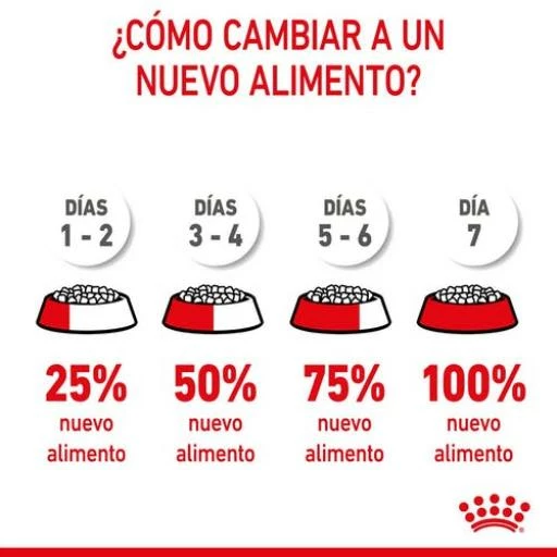 Royal Canin Giant Starter Pienso Para Cachorros Y Madres Lactantes Tamaño Gigante 6 Royal Canin Giant Starter Pienso Para Cachorros Y Madres Lactantes Tamaño Gigante - Imagen 4