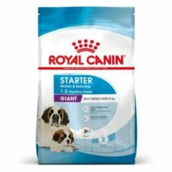 Royal Canin Giant Starter Pienso Para Cachorros Y Madres Lactantes Tamaño Gigante