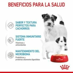 Pack 12 Royal Canin Starter Mousse Mother & Babydog -Suministros De Mascotas Ventas 2024 rc spt wet startermousse can cv 3 es es 624ad6eb59a50 g