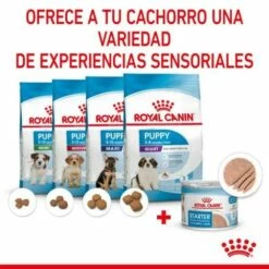 Pack 12 Royal Canin Starter Mousse Mother & Babydog -Suministros De Mascotas Ventas 2024 rc spt wet startermousse can cv 4 es es 624ad6ef7e758 g