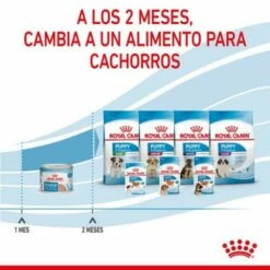 Pack 12 Royal Canin Starter Mousse Mother & Babydog -Suministros De Mascotas Ventas 2024 rc spt wet startermousse can cv 8 es es 624ad6e8e0713 g