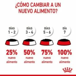 Pack 12 Royal Canin Starter Mousse Mother & Babydog -Suministros De Mascotas Ventas 2024 rc spt wet startermousse can cv 9 es es 624ad6ea29296 g