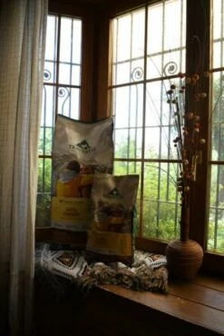 Traveness Pienso Natural Grain Free Receta De Pollo Para Perros -Suministros De Mascotas Ventas 2024 saco pollo traveness 635bb93408140 g