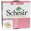 Pack 14 Schesir Comida Húmeda De Salmón Al Natural Para Gatos 1 Pack 14 Schesir Comida Húmeda De Salmón Al Natural Para Gatos -Suministros De Mascotas Ventas 2024 salmon al natural 1 g