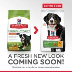 Hill's Pienso Science Plan Youthful Vital Large De Pollo Y Arroz Para Perros De Razas Grandes -Suministros De Mascotas Ventas 2024 science plan senior 6 youthful vitality large pollo 3 g