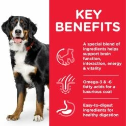 Hill's Pienso Science Plan Youthful Vital Large De Pollo Y Arroz Para Perros De Razas Grandes -Suministros De Mascotas Ventas 2024 science plan senior 6 youthful vitality large pollo 7 g