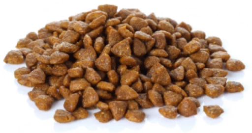 Banters Pienso Para Perros Adultos Grandes De Pollo 4 Banters Pienso Para Perros Adultos Grandes De Pollo - Imagen 2