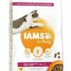 IAMS Senior & Mature
