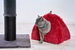 Freedog Freecat Igloo Gris Para Gatos -Suministros De Mascotas Ventas 2024 shooting 32 scaled 64ccd7d1df31a g