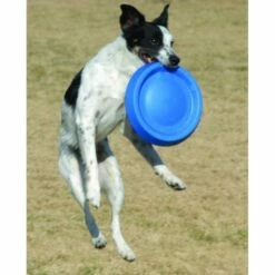 Starmark Easy Glider Multi -Suministros De Mascotas Ventas 2024 starmark disco easy glider multi 628df2551feb6 g