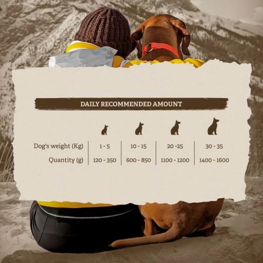 Traveness Multipack 6 Latas: Adult Pollo Con Manzana, Salmón Y Cordero 4 Traveness Multipack 6 Latas: Adult Pollo Con Manzana, Salmón Y Cordero - Imagen 2