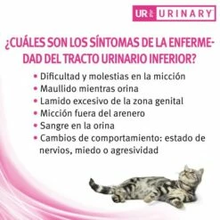 Pro Plan Veterinary Diets Pienso UR Urinary ST/OX Para Gatos 30 Pro Plan Veterinary Diets Pienso UR Urinary ST/OX Para Gatos -Suministros De Mascotas Ventas 2024 ur urinary st ox 5 g