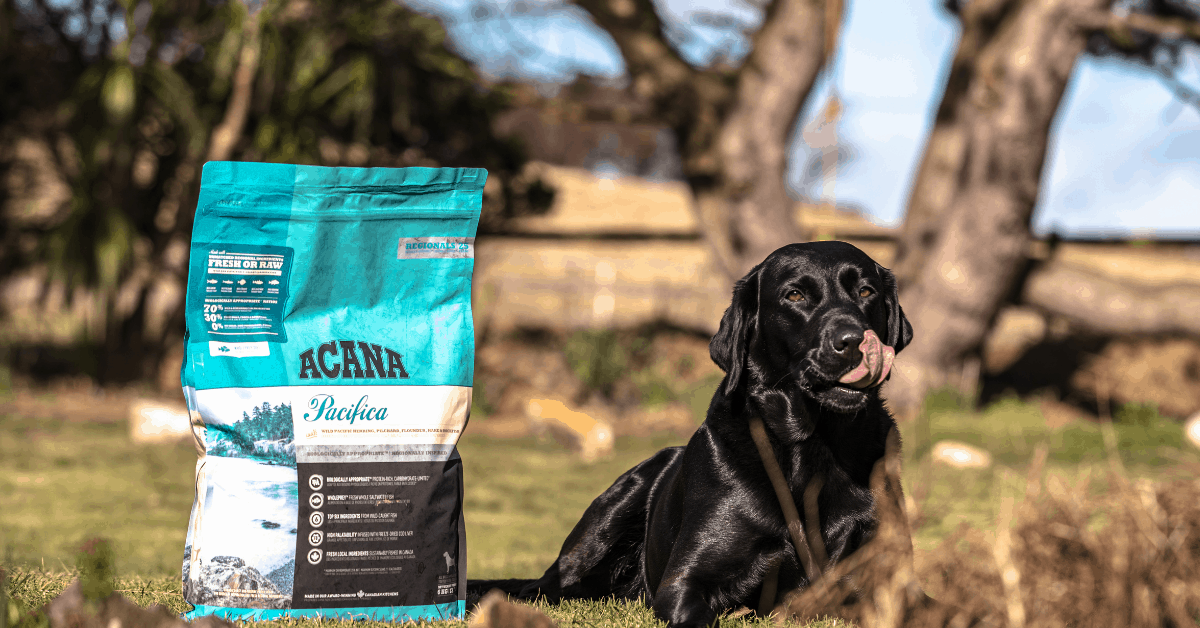 Suministros De Mascotas Ventas 2024 -Suministros De Mascotas Ventas 2024 Warehouse Move